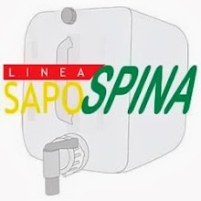 http://www.sapospina.it/