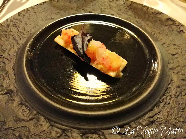 "Equoreum" a San Biagio di Callalta (TV) "Equoreum" a San Biagio di Callalta (TV)