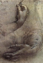 vinci da leonardo drawings 1519 1452
