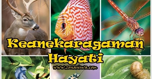 Makalah Tentang Keanekaragaman Hayati Enak