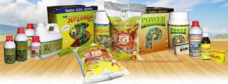 agen-nasa-di-seram-timur-bagian-timur-085232128980 agen-nasa-di-seram-timur-bagian-timur-085232128980