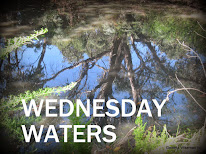 WEDNESDAY WATERS