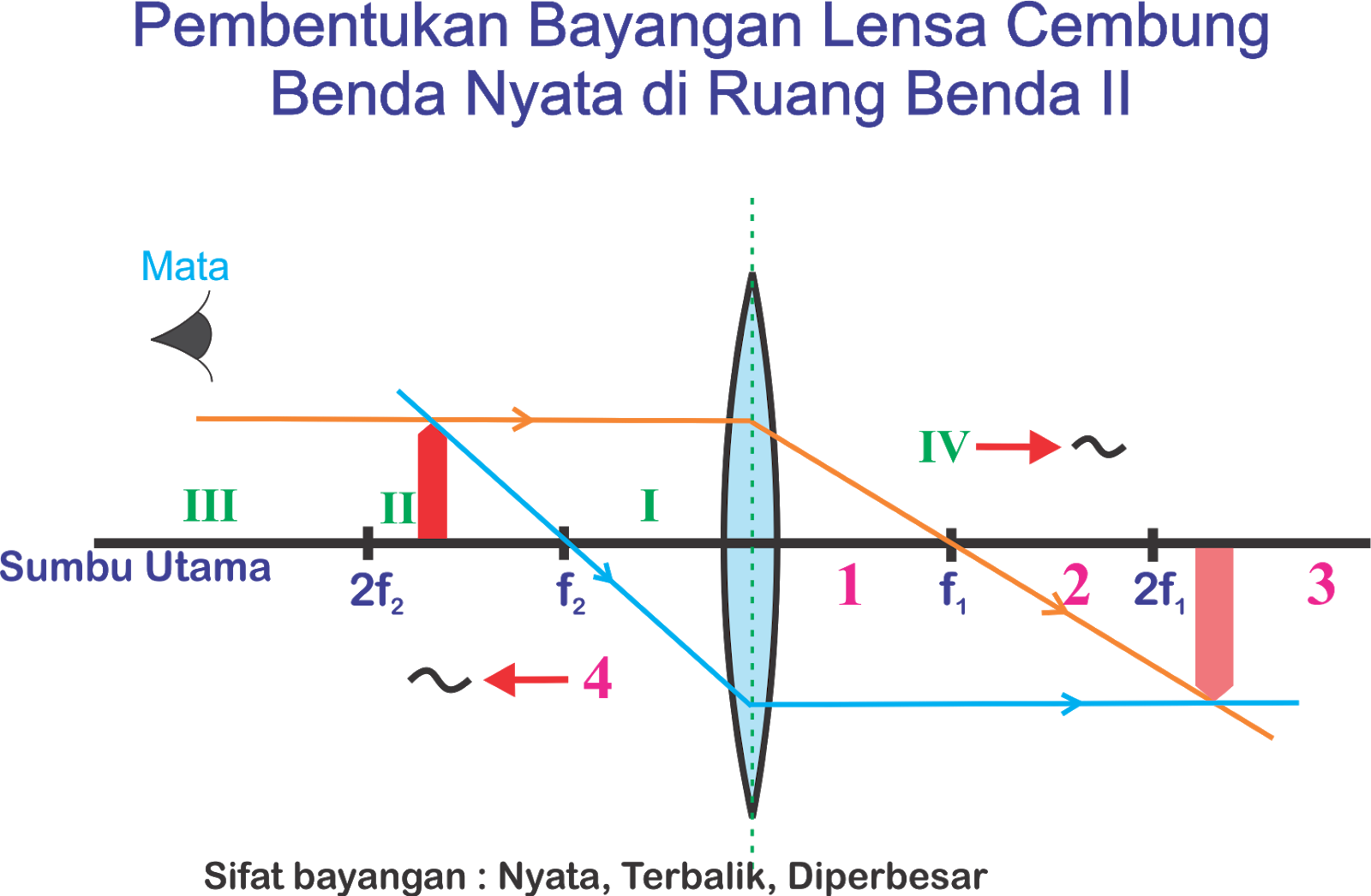 Cahaya dan Alat Optik Lensa Cembung (Lensa Positif) CAKRAWALA ILMU 1 2