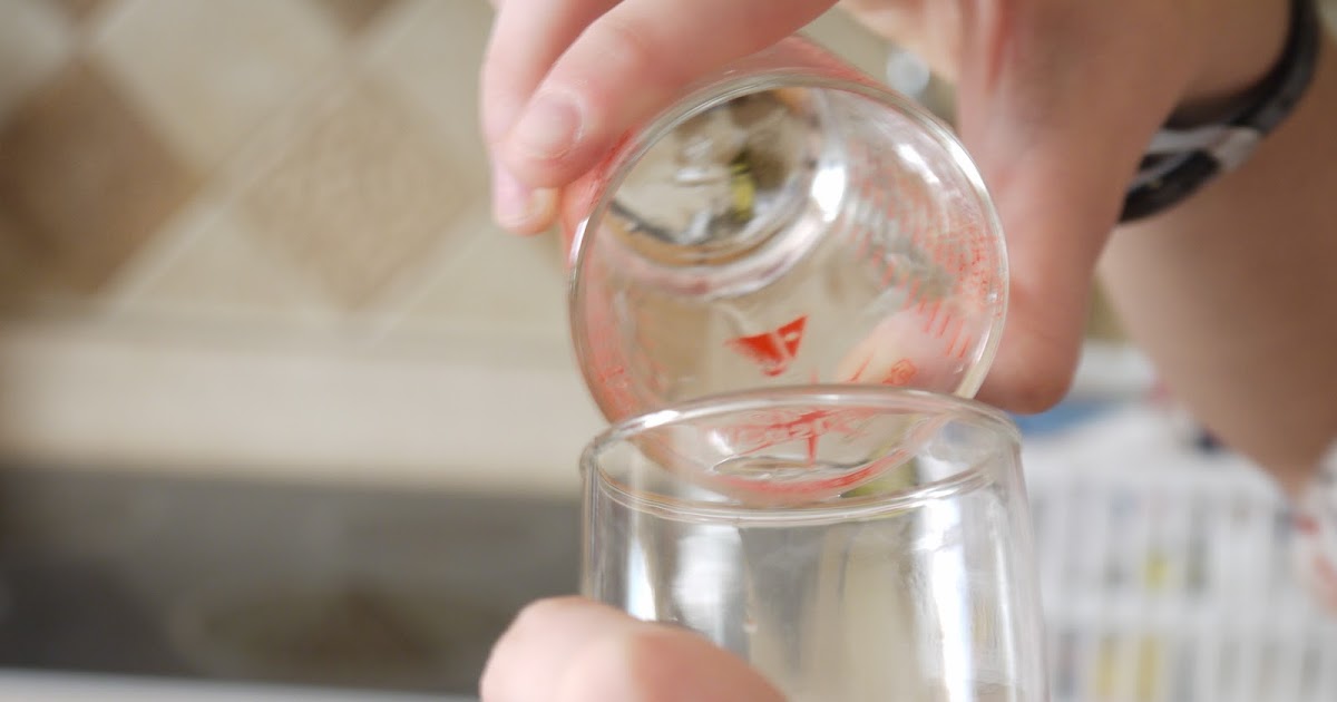 Biology - A Panorama of Life: DNA Extraction Lab
