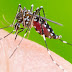 Iraí registra caso de dengue “importada” de outro estado