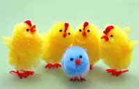 canción infantil Pollito canción infantil Pollito