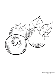 Blueberry coloring page 10
