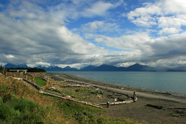 LA PENINSULA DE KENAI - LA ULTIMA FRONTERA. CRONICAS DE ALASKA (11)