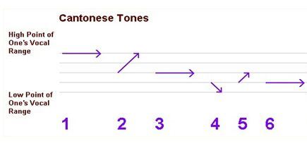 More tones. More tones. Camera raw 12. More tones. палитра серый желтый.