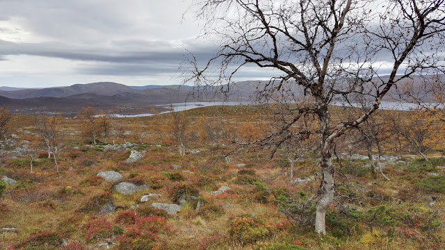 Kilpisjärvi ruska