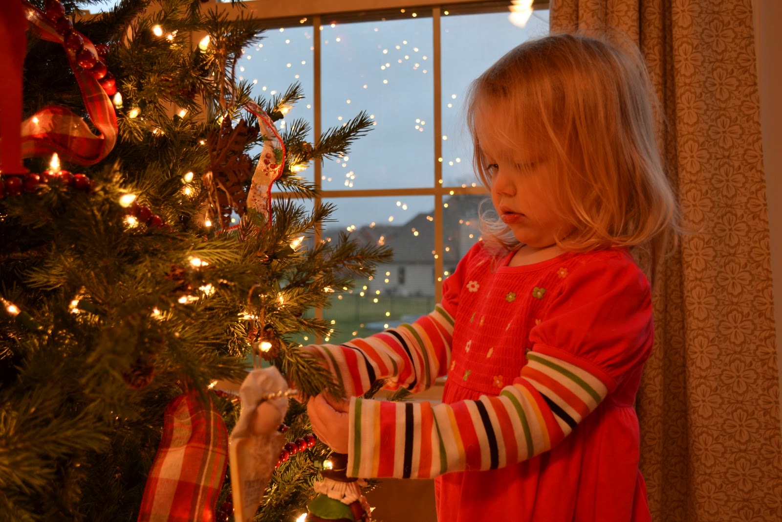&hellip;Loving Lifes Little Things&hellip;: Trimming the Tree and Decking the Halls
