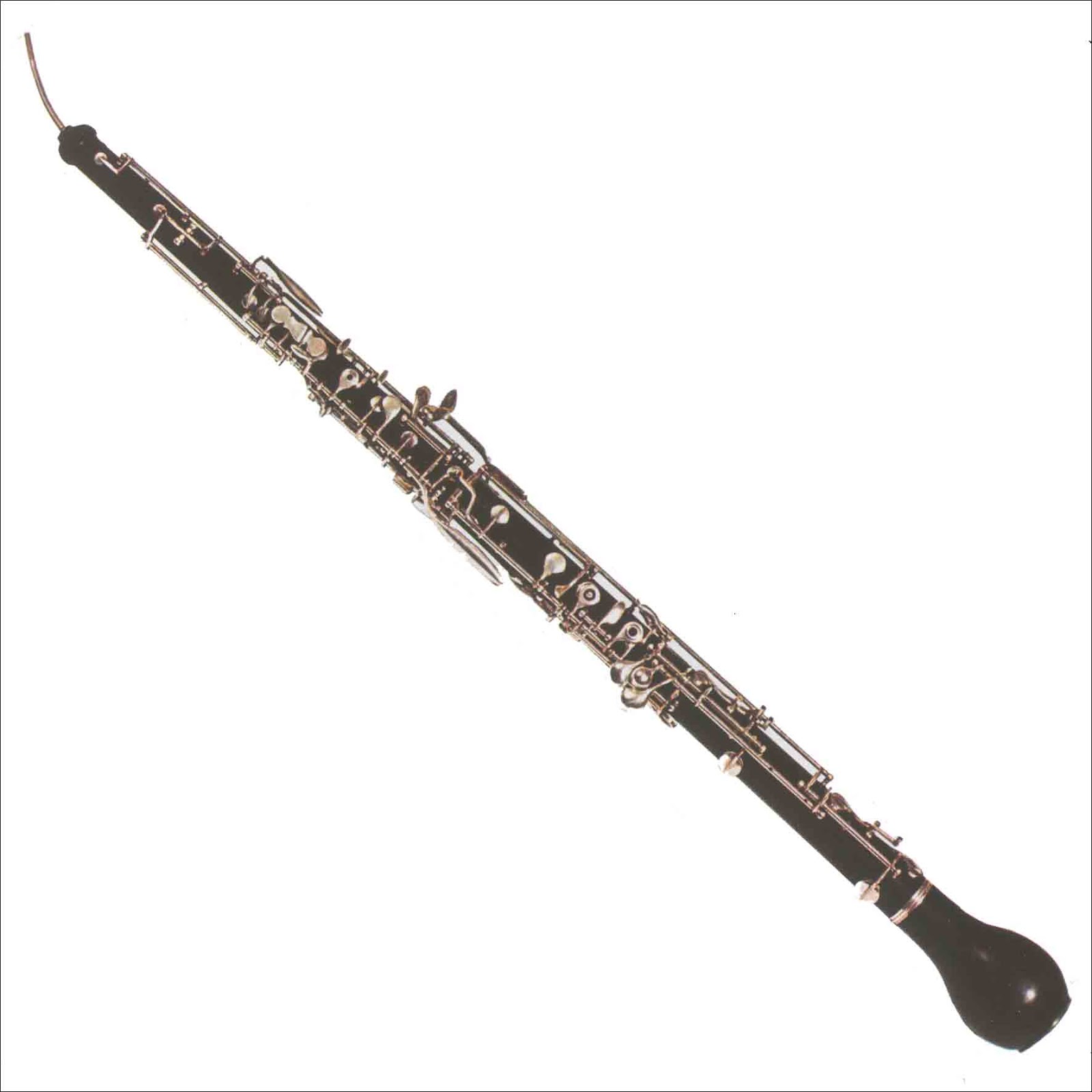 IVEMA Enseñanza CENTROS DE ESTUDIOS LA TRADUCCIÓN AL INGLÉS DE "TROMPA