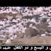 قصص الأنبياء: إدريس وذو الكفل وحزقيل وإلياس واليسع