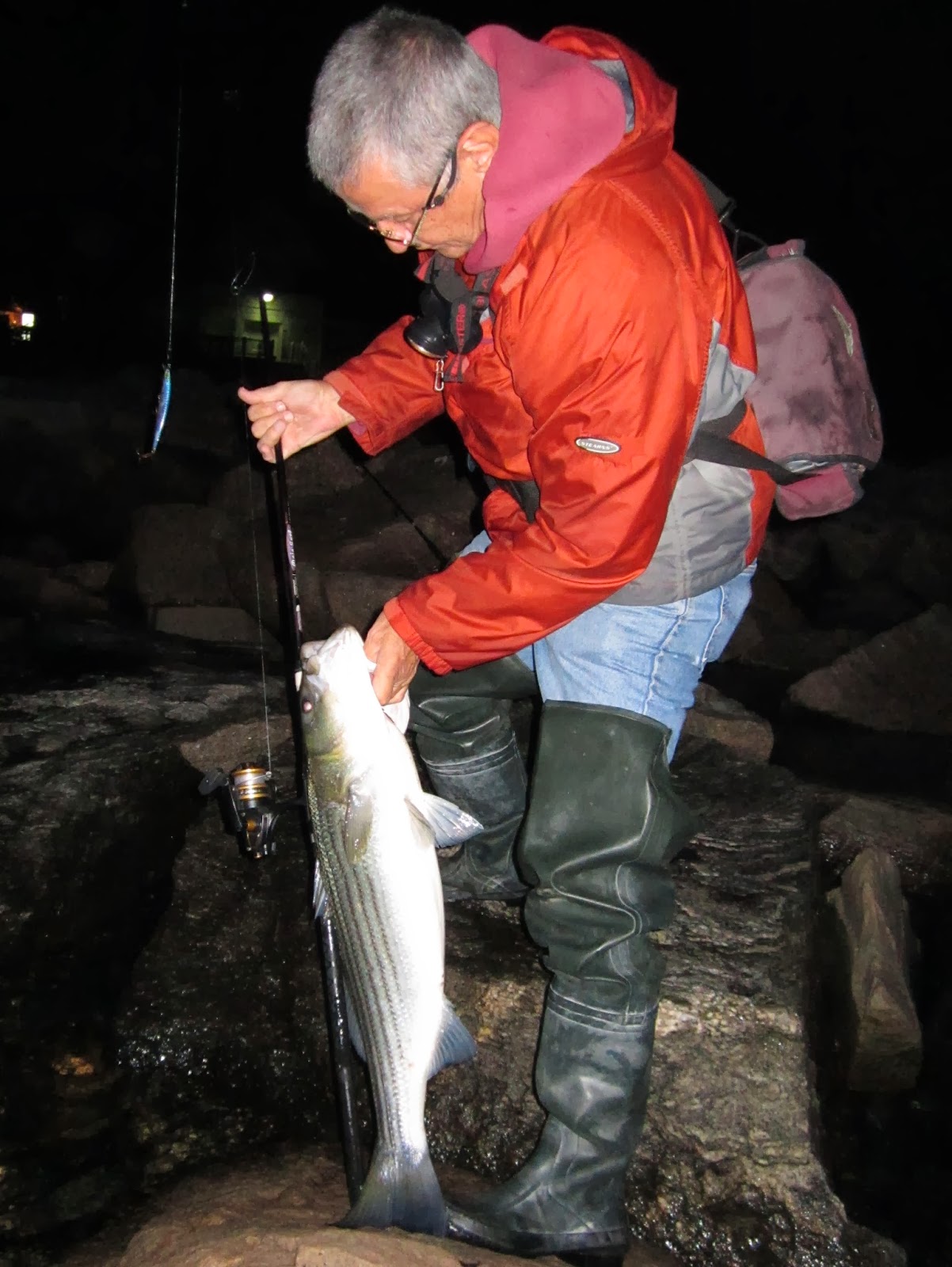 Rhode Island Striped Bass: Nighttime Fishing Perks Up