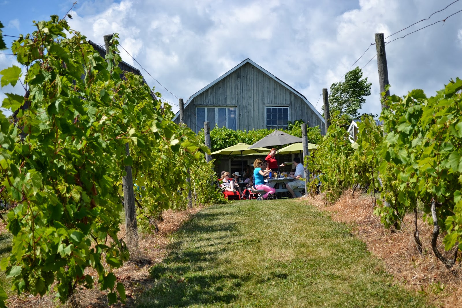 Claire's Canadian Checklist Good Things Grow In Ontario