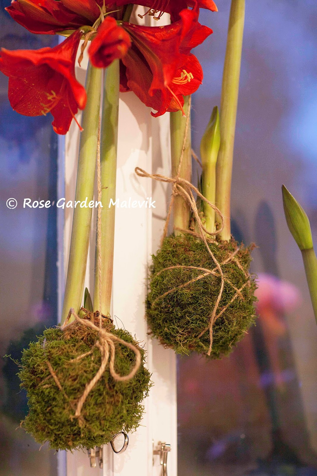 Rose garden malevik: mer julpyssel ~ more crafts for christmas
