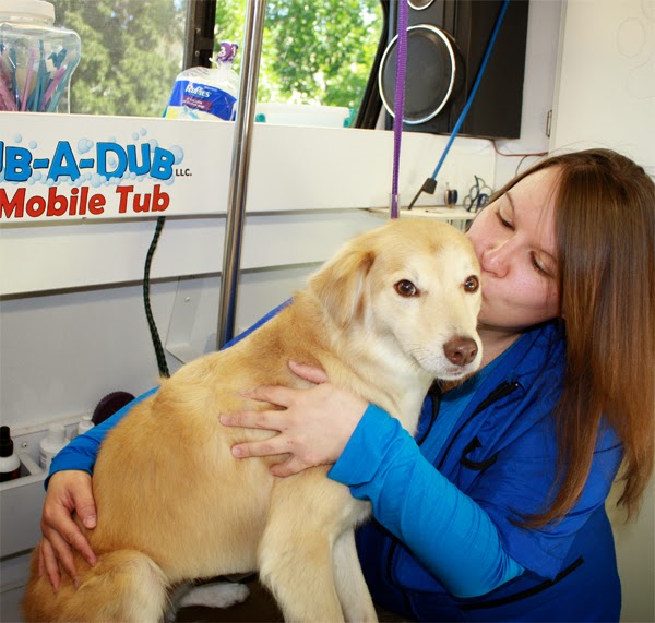 Scrub A Dub Mobile Dog Grooming: Welcome to Scrub-A-Dub In A Mobile Tub!