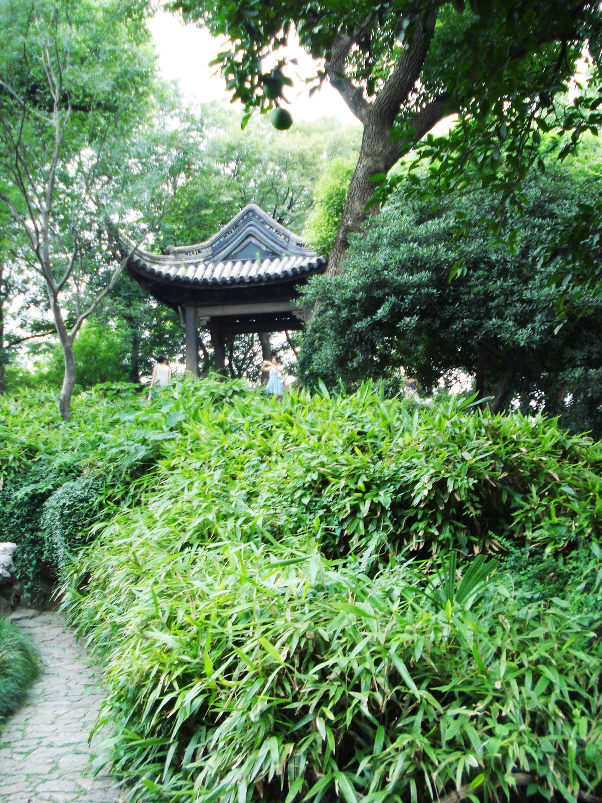 IDEAS BASE EL PATIO CHINO