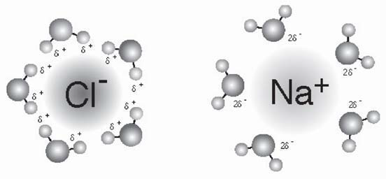 Наиболее прочная молекула h2 f2 o2