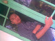 Foto saya