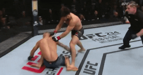 2.gif