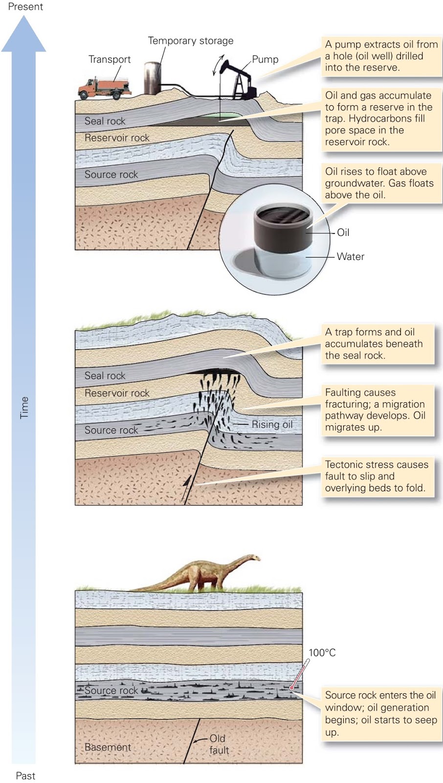 Learning Geology Oil and Gas