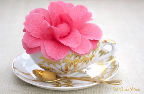 Camellia in Teacup- www.gildedbloom.com Camellia in Teacup- www.gildedbloom.com