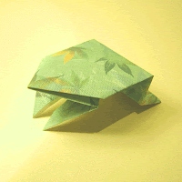 Origami in Therapy