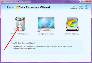 Tutorial EaseUS Data Recovery Wizard Professional 