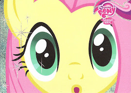 My Little Pony Fluttershy Series 1 Trading Card