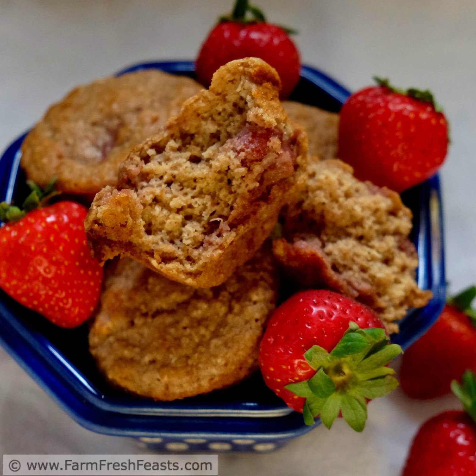 Farm Fresh Feasts Strawberry Sour Cream Brown Sugar Soaked Oat Muffins