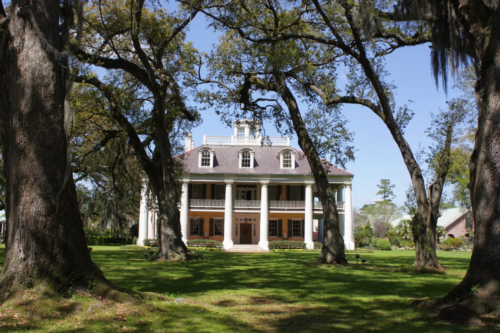 UN MUNDO POR MONTERA ¿Qué tiene Nueva Orleans?