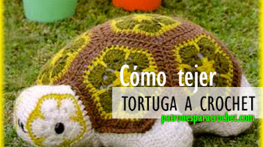 Cómo Tejer Tortuga con Flores Africanas Crochet / Paso a paso