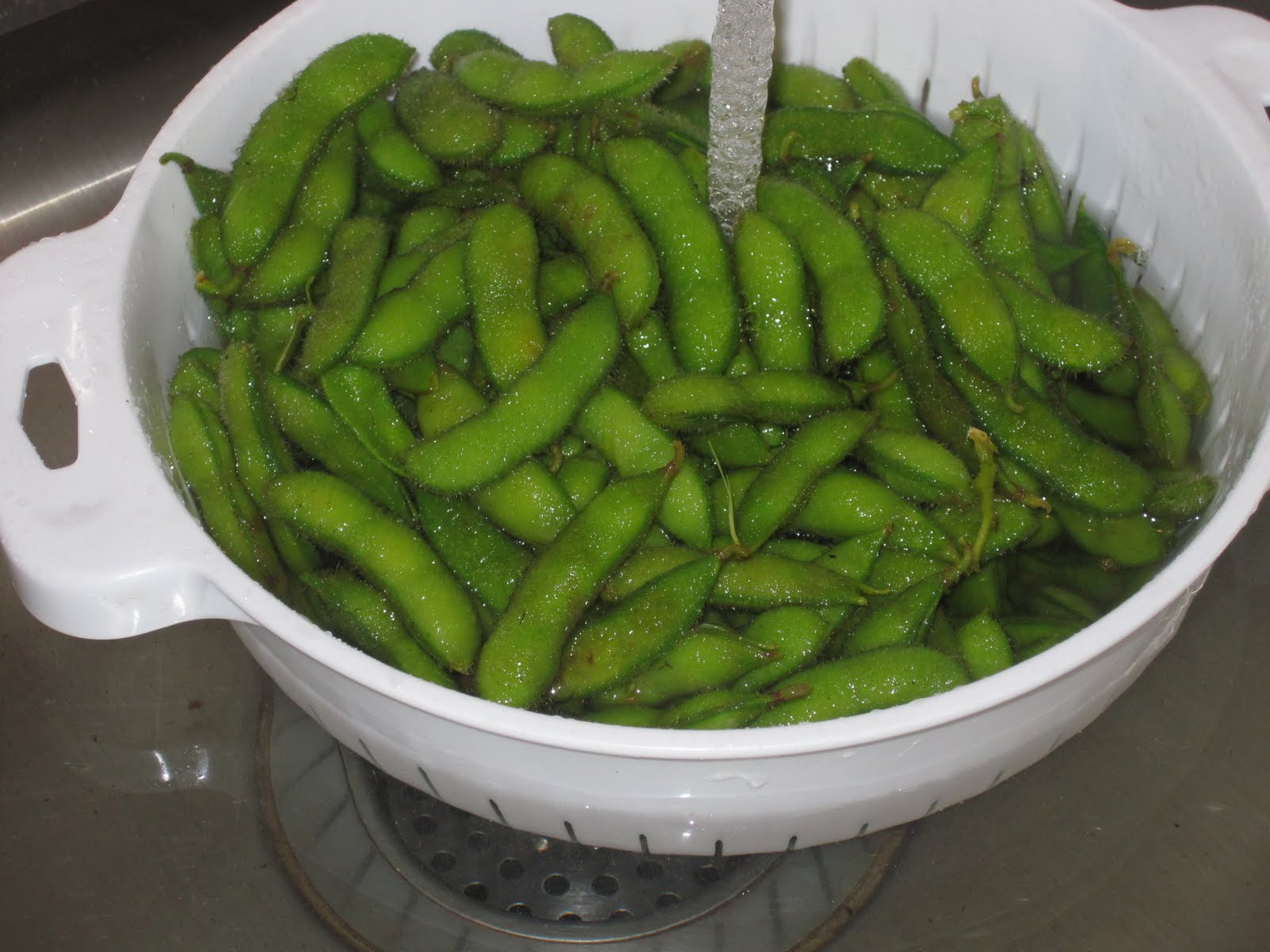 Marisa Makes Grow Your Own Edamame