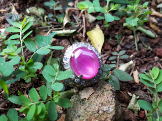 Batu Permata Pink Sapphire SF013 Kristal Ikatan Perak memo DGL