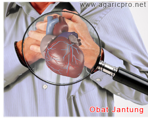 Obat Jantung Herbal Alami Super Bombastis Obat Jantung Herbal Alami Super Bombastis