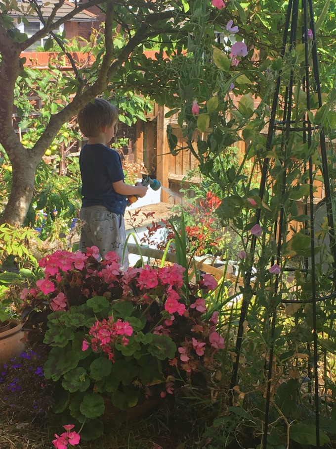 The-perils-of-a-long-hot-summer-boy-watering-a-garden