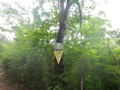 II Desafio 50K da Chapada do Araripe II Desafio 50K da Chapada do Araripe