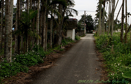 豐田移民村