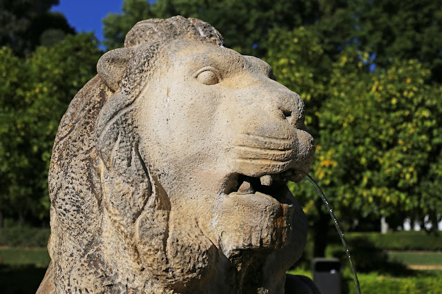 Cara de león de piedra de una fuente en un parque.