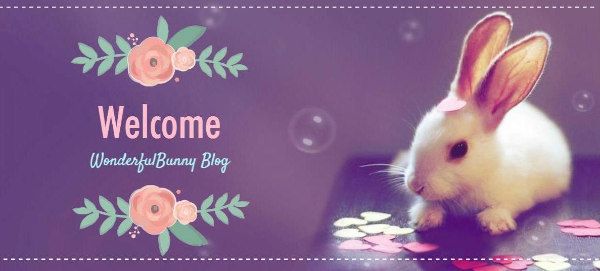 Wonderful Bunny blog