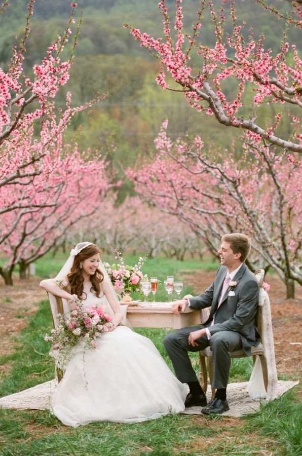 The Beauty of a Cherry Blossom Wedding Theme Wedding
