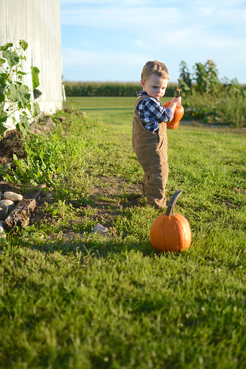 Pumpkin Patch, Fall | My Darling Days Pumpkin Patch, Fall | My Darling Days