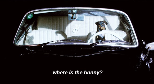 Where is the BUNNY!