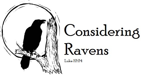 Considering Ravens
