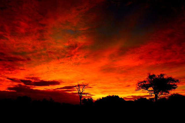 Interiors African Safari Lodges 19 Interiors African Safari Lodges 16