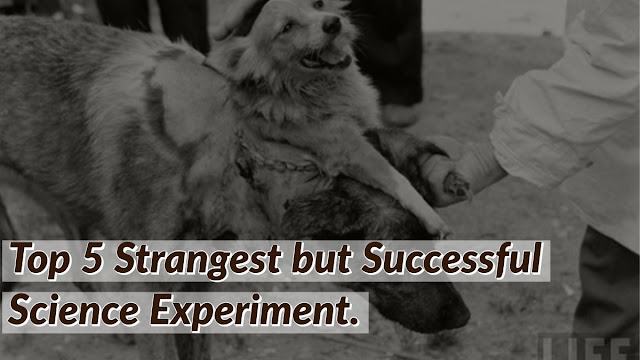 Top 5 Strangest but Successful Science Experiment. Top 5 Strangest but Successful Science Experiment.