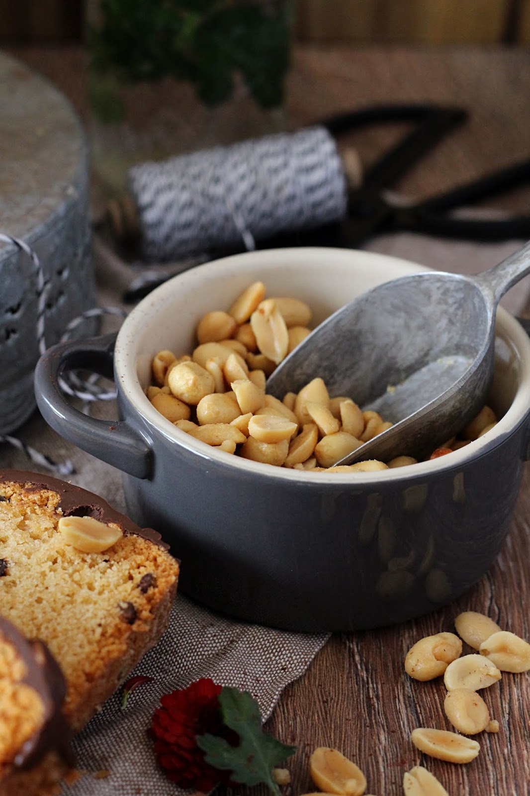 Erdnussbutter-Kuchen mit Schokostückchen und salzigem Erdnusstopping ...
