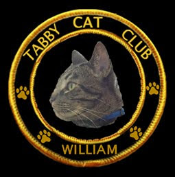 Tabby Cat Club!