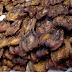Our Profile about Dry Catfish Smoked, Smoked Catfish For Sale, Smoked Catfish Suppliers, Baked Catfish Fillet Suppliers 
